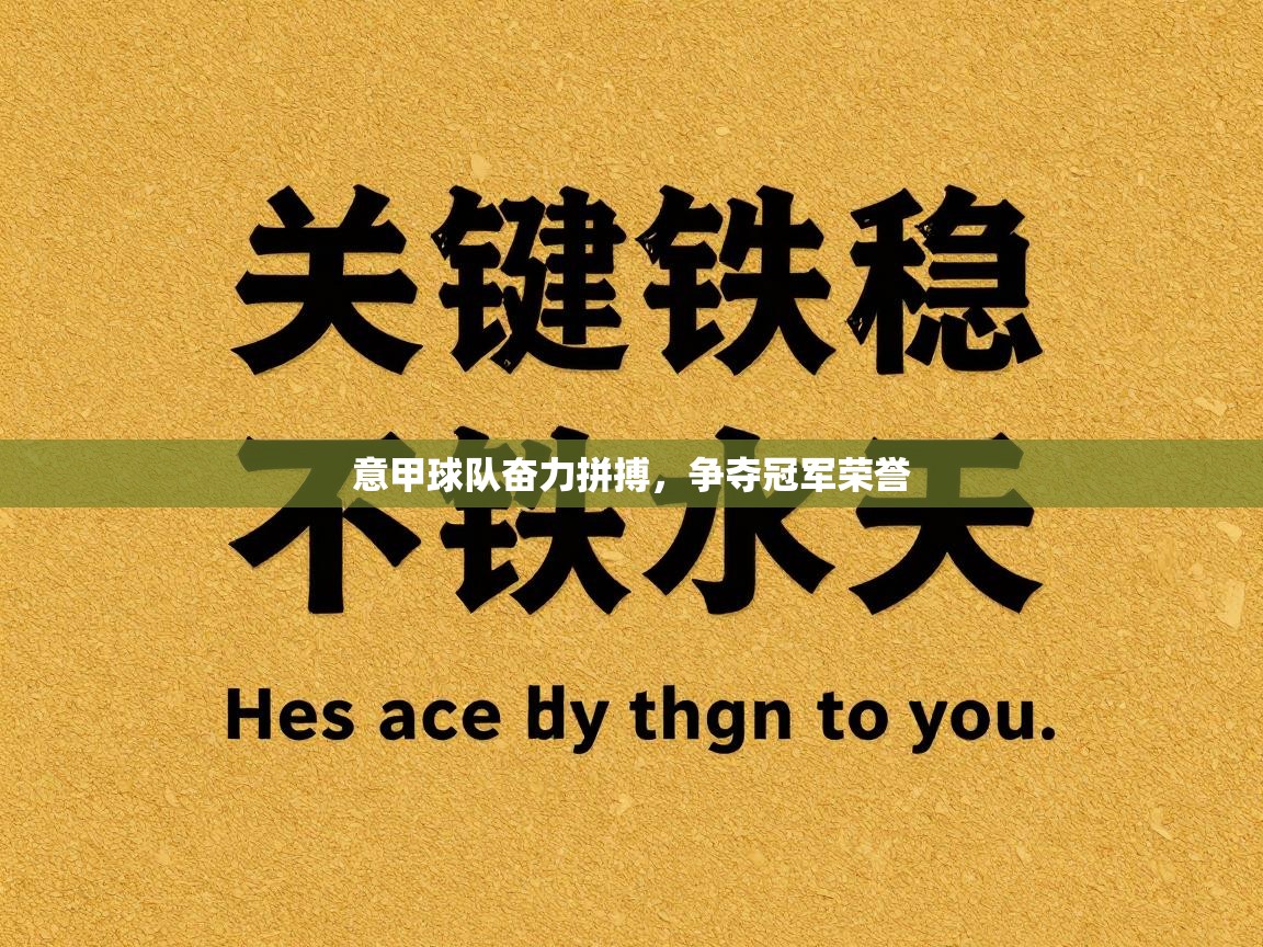 意甲球队奋力拼搏，争夺冠军荣誉  第2张